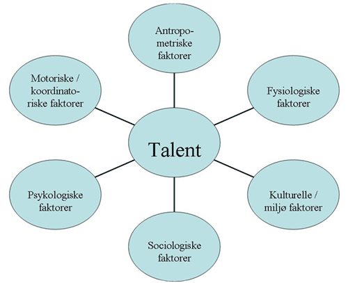projekt talentudvikling